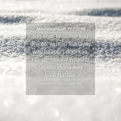 Picture 04 - Maahmaahyadii 11:7 SOM - Nin shar lahu markuu dhinto, wuxuu filanayay way - Bible Verse Picture