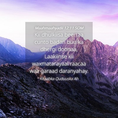 Picture 04 - Maahmaahyadii 12:11 SOM - Kii dhulkiisa beertaa cunto badan buu ka dhergi - Bible Verse Picture