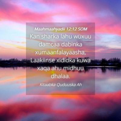 Picture 04 - Maahmaahyadii 12:12 SOM - Kan sharka lahu wuxuu damcaa dabinka - Bible Verse Picture
