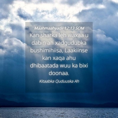 Picture 04 - Maahmaahyadii 12:13 SOM - Kan sharka leh waxaa u dabin ah xadgudubka - Bible Verse Picture