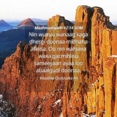 Picture 04 - Maahmaahyadii 12:14 SOM - Nin wuxuu wanaag kaga dhergi doonaa midhaha - Bible Verse Picture