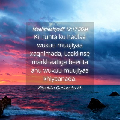 Picture 04 - Maahmaahyadii 12:17 SOM - Kii runta ku hadlaa wuxuu muujiyaa xaqnimada, - Bible Verse Picture