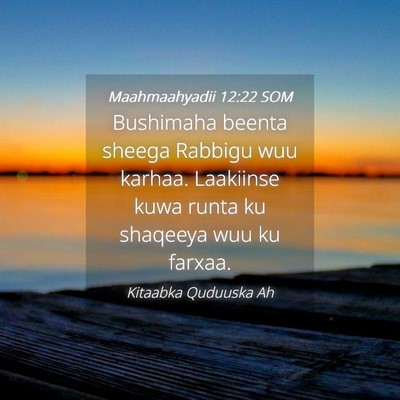 Picture 04 - Maahmaahyadii 12:22 SOM - Bushimaha beenta sheega Rabbigu wuu karhaa. - Bible Verse Picture
