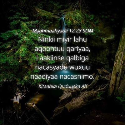 Picture 04 - Maahmaahyadii 12:23 SOM - Ninkii miyir lahu aqoontuu qariyaa, Laakiinse - Bible Verse Picture