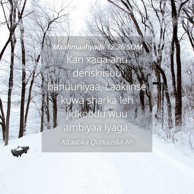 Picture 04 - Maahmaahyadii 12:26 SOM - Kan xaqa ahu deriskiisuu hanuuniyaa, Laakiinse - Bible Verse Picture