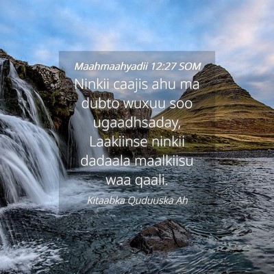 Picture 04 - Maahmaahyadii 12:27 SOM - Ninkii caajis ahu ma dubto wuxuu soo ugaadhsaday, - Bible Verse Picture