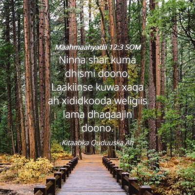Picture 04 - Maahmaahyadii 12:3 SOM - Ninna shar kuma dhismi doono, Laakiinse kuwa xaqa - Bible Verse Picture