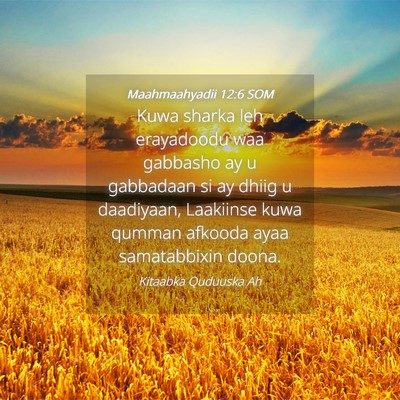 Picture 04 - Maahmaahyadii 12:6 SOM - Kuwa sharka leh erayadoodu waa gabbasho ay u - Bible Verse Picture