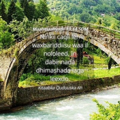 Picture 04 - Maahmaahyadii 13:14 SOM - Ninkii caqli leh waxbariddiisu waa il nololeed, - Bible Verse Picture