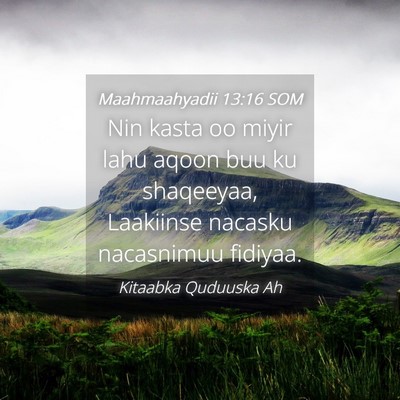 Picture 04 - Maahmaahyadii 13:16 SOM - Nin kasta oo miyir lahu aqoon buu ku shaqeeyaa, - Bible Verse Picture