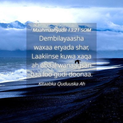 Picture 04 - Maahmaahyadii 13:21 SOM - Dembilayaasha waxaa eryada shar, Laakiinse kuwa - Bible Verse Picture