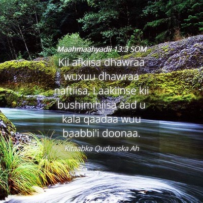 Picture 04 - Maahmaahyadii 13:3 SOM - Kii afkiisa dhawraa wuxuu dhawraa naftiisa, - Bible Verse Picture