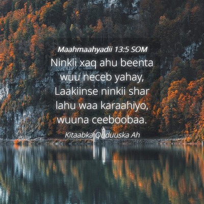 Picture 04 - Maahmaahyadii 13:5 SOM - Ninkii xaq ahu beenta wuu neceb yahay, Laakiinse - Bible Verse Picture