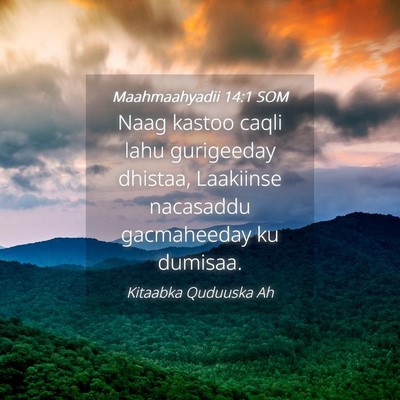 Picture 04 - Maahmaahyadii 14:1 SOM - Naag kastoo caqli lahu gurigeeday dhistaa, - Bible Verse Picture