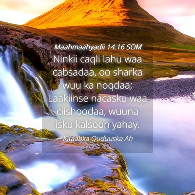 Picture 04 - Maahmaahyadii 14:16 SOM - Ninkii caqli lahu waa cabsadaa, oo sharka wuu ka - Bible Verse Picture