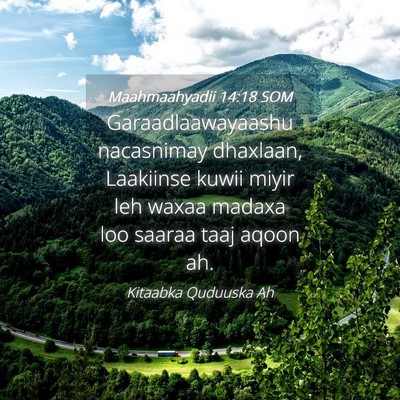 Picture 04 - Maahmaahyadii 14:18 SOM - Garaadlaawayaashu nacasnimay dhaxlaan, Laakiinse - Bible Verse Picture