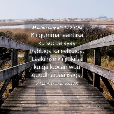 Picture 04 - Maahmaahyadii 14:2 SOM - Kii qummanaantiisa ku socda ayaa Rabbiga ka - Bible Verse Picture