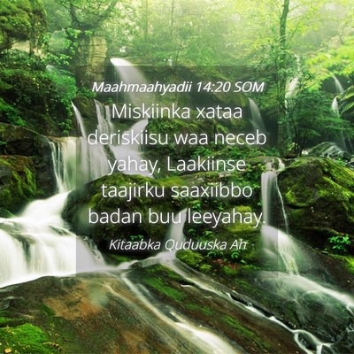 Picture 04 - Maahmaahyadii 14:20 SOM - Miskiinka xataa deriskiisu waa neceb yahay, - Bible Verse Picture