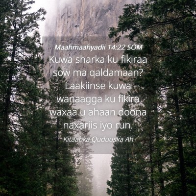 Picture 04 - Maahmaahyadii 14:22 SOM - Kuwa sharka ku fikiraa sow ma qaldamaan? - Bible Verse Picture