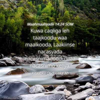 Picture 04 - Maahmaahyadii 14:24 SOM - Kuwa caqliga leh taajkoodu waa maalkooda, - Bible Verse Picture