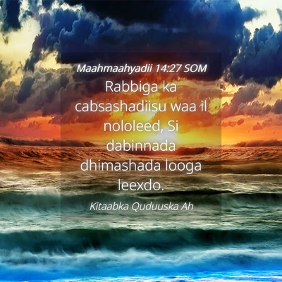 Picture 04 - Maahmaahyadii 14:27 SOM - Rabbiga ka cabsashadiisu waa il nololeed, Si - Bible Verse Picture