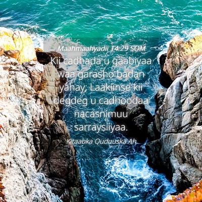 Picture 04 - Maahmaahyadii 14:29 SOM - Kii cadhada u gaabiyaa waa garasho badan yahay; - Bible Verse Picture