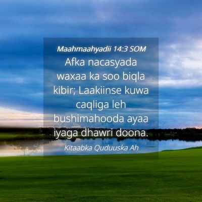 Picture 04 - Maahmaahyadii 14:3 SOM - Afka nacasyada waxaa ka soo biqla kibir; - Bible Verse Picture