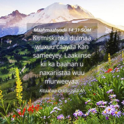 Picture 04 - Maahmaahyadii 14:31 SOM - Kii miskiinka dulmaa wuxuu caayaa Kan sameeyey, - Bible Verse Picture