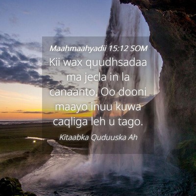 Picture 04 - Maahmaahyadii 15:12 SOM - Kii wax quudhsadaa ma jecla in la canaanto, Oo - Bible Verse Picture