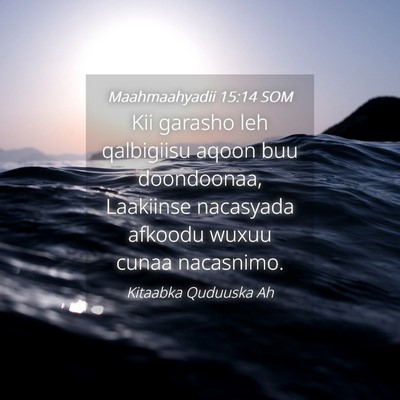 Picture 04 - Maahmaahyadii 15:14 SOM - Kii garasho leh qalbigiisu aqoon buu doondoonaa, - Bible Verse Picture