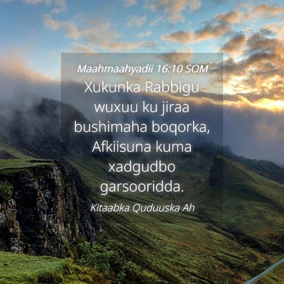 Picture 04 - Maahmaahyadii 16:10 SOM - Xukunka Rabbigu wuxuu ku jiraa bushimaha boqorka, - Bible Verse Picture