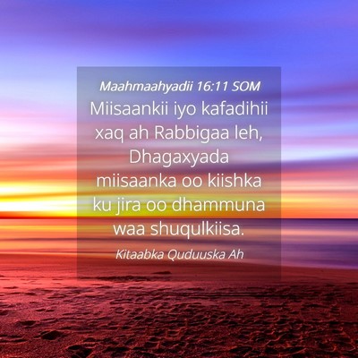 Picture 04 - Maahmaahyadii 16:11 SOM - Miisaankii iyo kafadihii xaq ah Rabbigaa leh, - Bible Verse Picture