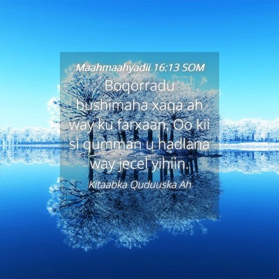Picture 04 - Maahmaahyadii 16:13 SOM - Boqorradu bushimaha xaqa ah way ku farxaan, Oo - Bible Verse Picture