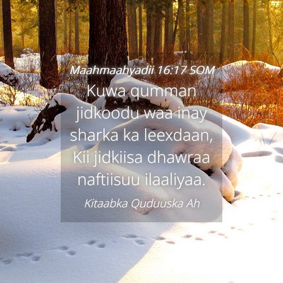 Picture 04 - Maahmaahyadii 16:17 SOM - Kuwa qumman jidkoodu waa inay sharka ka leexdaan, - Bible Verse Picture