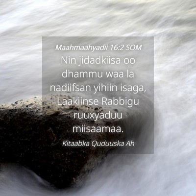Picture 04 - Maahmaahyadii 16:2 SOM - Nin jidadkiisa oo dhammu waa la nadiifsan yihiin - Bible Verse Picture
