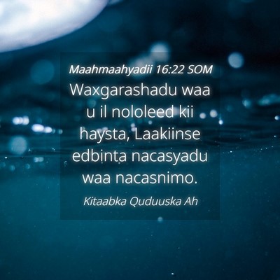 Picture 04 - Maahmaahyadii 16:22 SOM - Waxgarashadu waa u il nololeed kii haysta, - Bible Verse Picture