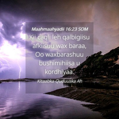 Picture 04 - Maahmaahyadii 16:23 SOM - Kii caqli leh qalbigiisu afkiisuu wax baraa, Oo - Bible Verse Picture