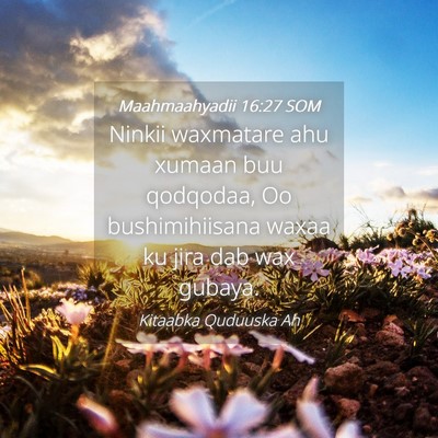 Picture 04 - Maahmaahyadii 16:27 SOM - Ninkii waxmatare ahu xumaan buu qodqodaa, Oo - Bible Verse Picture