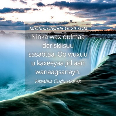 Picture 04 - Maahmaahyadii 16:29 SOM - Ninka wax dulmaa deriskiisuu sasabtaa, Oo wuxuu u - Bible Verse Picture