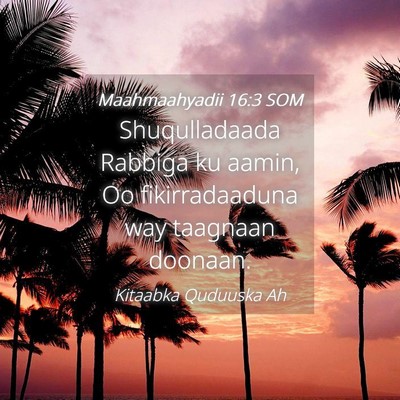 Picture 04 - Maahmaahyadii 16:3 SOM - Shuqulladaada Rabbiga ku aamin, Oo fikirradaaduna - Bible Verse Picture