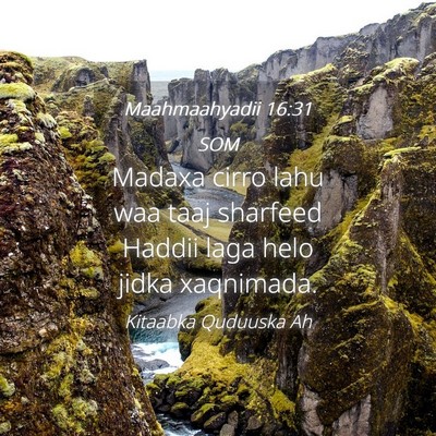 Picture 04 - Maahmaahyadii 16:31 SOM - Madaxa cirro lahu waa taaj sharfeed Haddii laga - Bible Verse Picture