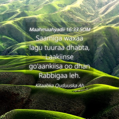 Picture 04 - Maahmaahyadii 16:33 SOM - Saamiga waxaa lagu tuuraa dhabta, Laakiinse - Bible Verse Picture