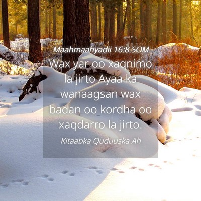 Picture 04 - Maahmaahyadii 16:8 SOM - Wax yar oo xaqnimo la jirto Ayaa ka wanaagsan wax - Bible Verse Picture