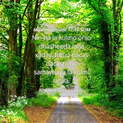 Picture 04 - Maahmaahyadii 17:12 SOM - Nin ha la kulmo orso dhasheeda laga xaday, Intuu - Bible Verse Picture