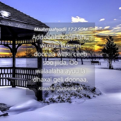 Picture 04 - Maahmaahyadii 17:2 SOM - Addoonkii caqli lahu wuxuu xukumi doonaa wiilkii - Bible Verse Picture