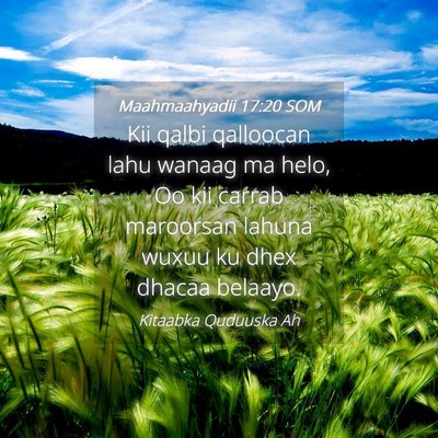 Picture 04 - Maahmaahyadii 17:20 SOM - Kii qalbi qalloocan lahu wanaag ma helo, Oo kii - Bible Verse Picture