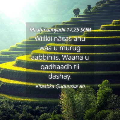 Picture 04 - Maahmaahyadii 17:25 SOM - Wiilkii nacas ahu waa u murug aabbihiis, Waana u - Bible Verse Picture