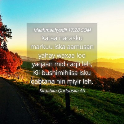 Picture 04 - Maahmaahyadii 17:28 SOM - Xataa nacasku markuu iska aamusan yahay waxaa loo - Bible Verse Picture