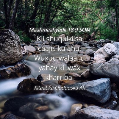 Picture 04 - Maahmaahyadii 18:9 SOM - Kii shuqulkiisa caajis ku ahu, Wuxuu walaal u - Bible Verse Picture