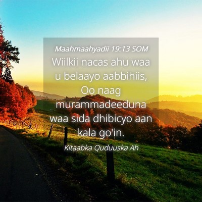 Picture 04 - Maahmaahyadii 19:13 SOM - Wiilkii nacas ahu waa u belaayo aabbihiis, Oo - Bible Verse Picture